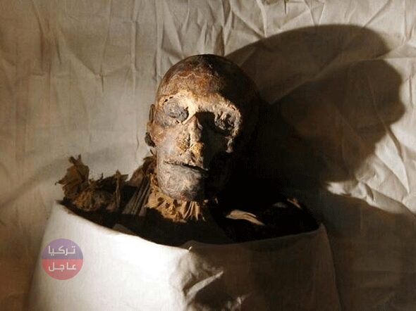 أخيرا حل لغز المومياء الصارخة.. مومياء لامرأة عمرها 3 ألاف سنة تظهر على وجهها علامات الرعب والألم والصراخ أخيرا حل لغز المومياء الصارخة.. مومياء لامرأة عمرها 3 ألاف سنة تظهر على وجهها علامات الرعب والألم والصراخ