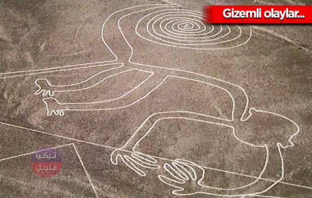 منها ظهور هتلر بعد موته.. 16 حدثًا غامضًا لم يتم حلها حتى الآن وعجز العلم عنها