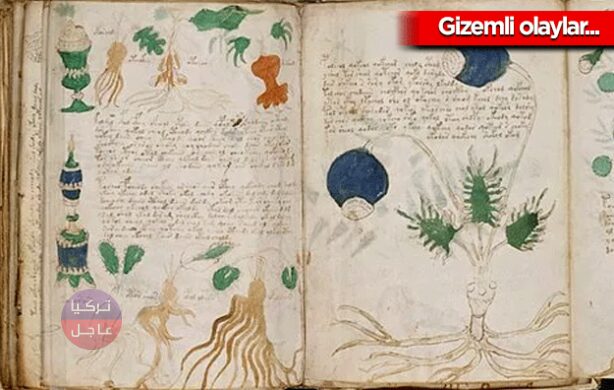 منها ظهور هتلر بعد موته.. 16 حدثًا غامضًا لم يتم حلها حتى الآن وعجز العلم عنها