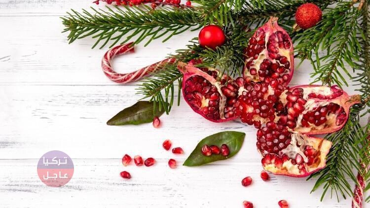 شخصية بابا نويل أتت من هنا! عيد رأس السنة التركية وعيد ناردوغان فما هذه الطقوس؟ شخصية بابا نويل أتت من هنا! عيد رأس السنة التركية وعيد ناردوغان فما هذه الطقوس؟