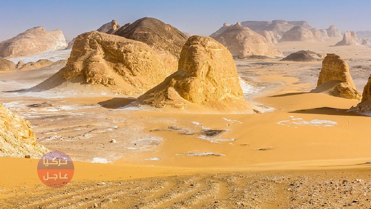 قيمته 1.3 تريليون دولار.. دولة عربية تعوم على كنز ضخم سيغنيها عن النفط ويرفع اقتصادها الى مصافي الدول الكبرى قيمته 1.3 تريليون دولار.. دولة عربية تعوم على كنز ضخم سيغنيها عن النفط ويرفع اقتصادها الى مصافي الدول الكبرى