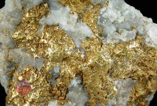 تطبيق قد يقودك إلى الثراء.. تطبيق يكشف لك الذهب والدفائن باستخدام هاتفك المحمول فقط تطبيق قد يقودك إلى الثراء.. تطبيق يكشف لك الذهب والدفائن باستخدام هاتفك المحمول فقط