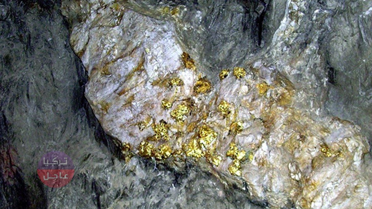 مشاهد لا تصدق صخور ممزوجه بالذهب! تركيا تبدأ استخراج الذهب المكتشف مؤخرا وتصنع أول سبيكة منه