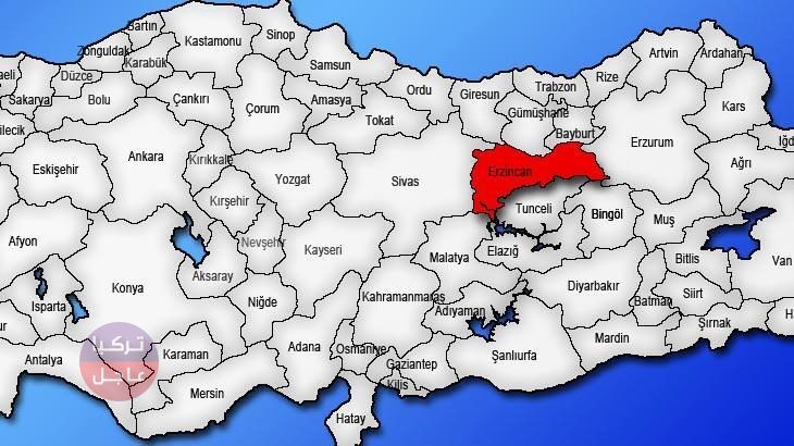 تركيا تعلن عن ارتفاع ضحايا الزلزال المدمر إلى 31643 واقتراب العدد من ضحايا زلزال أرزينجان تركيا تعلن عن ارتفاع ضحايا الزلزال المدمر إلى 31643 واقتراب العدد من ضحايا زلزال أرزينجان