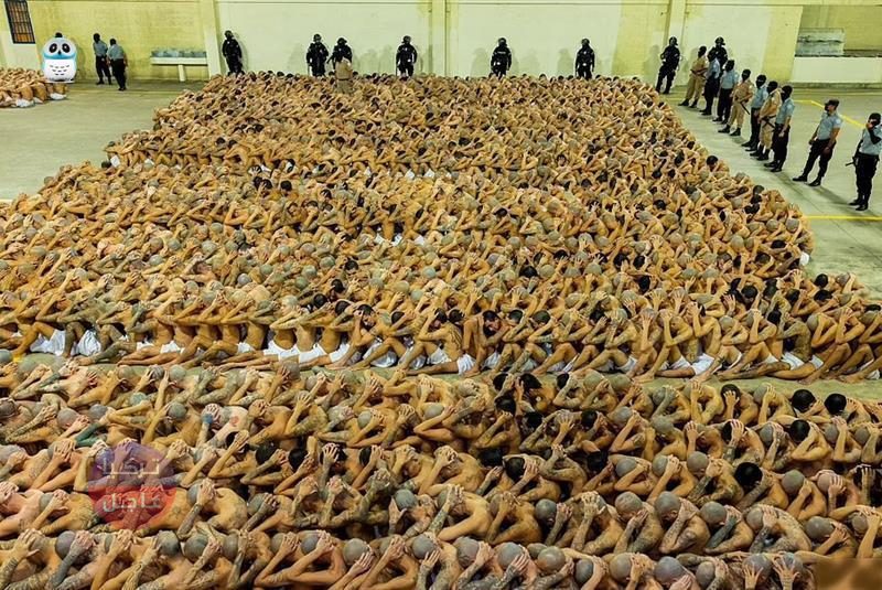 بأوامر من رئيس فلسطيني الأصل! نقل عصابة قوامها 2000 شخص إلى سجن جديد في السلفادور! والصور تصبح الأكثر رواجا عالميا بأوامر من رئيس فلسطيني الأصل! نقل عصابة قوامها 2000 شخص إلى سجن جديد في السلفادور! والصور تصبح الأكثر رواجا عالميا