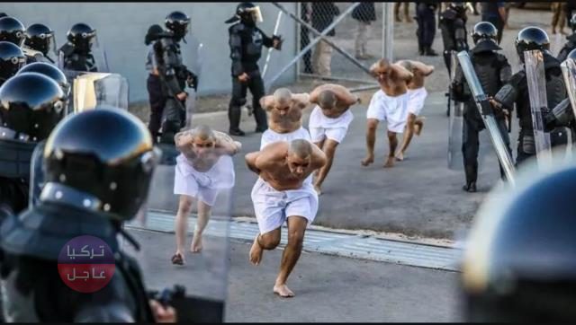 بأوامر من رئيس فلسطيني الأصل! نقل عصابة قوامها 2000 شخص إلى سجن جديد في السلفادور! والصور تصبح الأكثر رواجا عالميا بأوامر من رئيس فلسطيني الأصل! نقل عصابة قوامها 2000 شخص إلى سجن جديد في السلفادور! والصور تصبح الأكثر رواجا عالميا