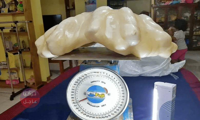 تصل قيمتها إلى 100 مليون دولار.. صائد أسماك فقير يعثر على كنز لا نادر أثناء رفع مرساة قاربه