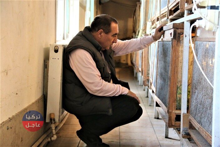 رجل أعمال تركي يحول الصراصير إلى كنز حقيقي ومصدر دخل يدر عليه الأموال الكثيرة رجل أعمال تركي يحول الصراصير إلى كنز حقيقي ومصدر دخل يدر عليه الأموال الكثيرة