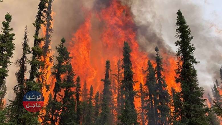 عاجل | إجلاء 13 ألف شخص من 78 نقطة في كندا إثر حرائق كبيرة عاجل | إجلاء 13 ألف شخص من 78 نقطة في كندا إثر حرائق كبيرة