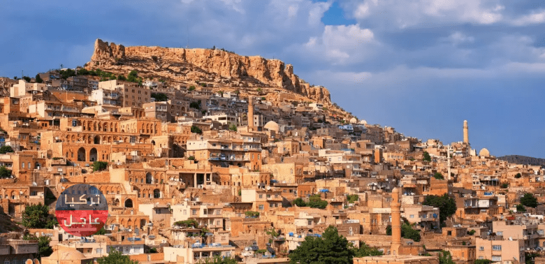 شاهد أطول رجل وأطول امرأة في العالم يشاركان في الانتخابات التركية 2023 شاهد أطول رجل وأطول امرأة في العالم يشاركان في الانتخابات التركية 2023