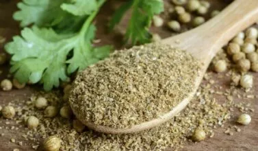 ملعقة واحدة تكفي لتحسين القوة الجنسية بشكل كبير! فوائد الكزبرة ستدهشك