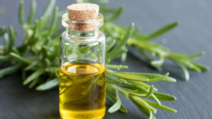 يرشون بضع قطرات في غرفهم! زيت سحري يستخدمه الآباء لزيادة ذكاء أولادهم مع بدء العام الدراسي في تركيا