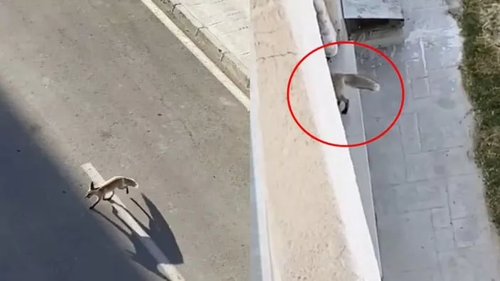 تحذير من السلطات التركية لسكان عدة ولايات أبقوا النوافذ وأبواب الشرف مغلقة تحذير من السلطات التركية لسكان عدة ولايات أبقوا النوافذ وأبواب الشرف مغلقة