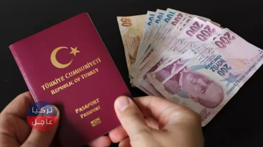 رسوم جواز السفر التركي 2024