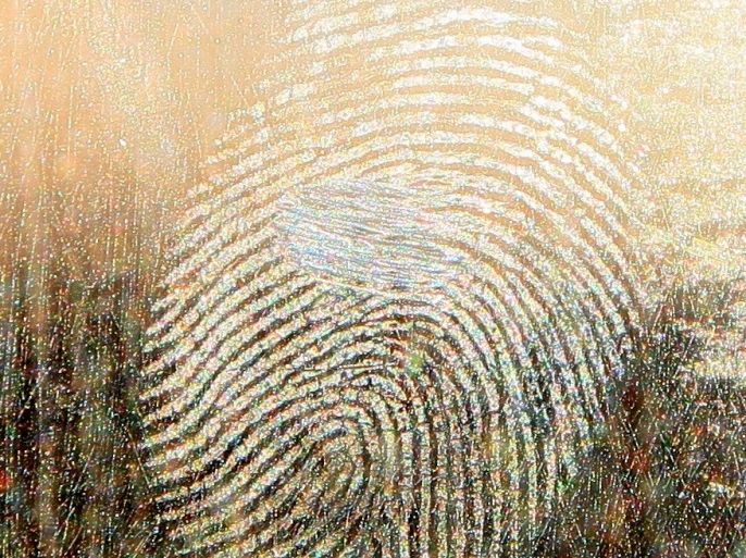 في دولة عربية.. اكتشاف أقدم بصمة بشرية يفوق عمرها 7300 عاماً في دولة عربية.. اكتشاف أقدم بصمة بشرية يفوق عمرها 7300 عاماً