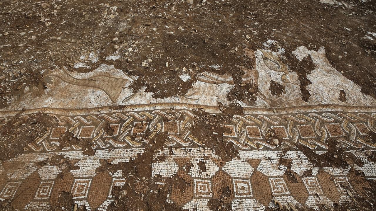 قرب الحدود السورية.. اكتشاف كنز تاريخي على مساحة 100 متر مربع تعود إلى العصر الروماني وقيمتها المادية تفوق ملايين الدولارات قرب الحدود السورية.. اكتشاف كنز تاريخي على مساحة 100 متر مربع تعود إلى العصر الروماني وقيمتها المادية تفوق ملايين الدولارات