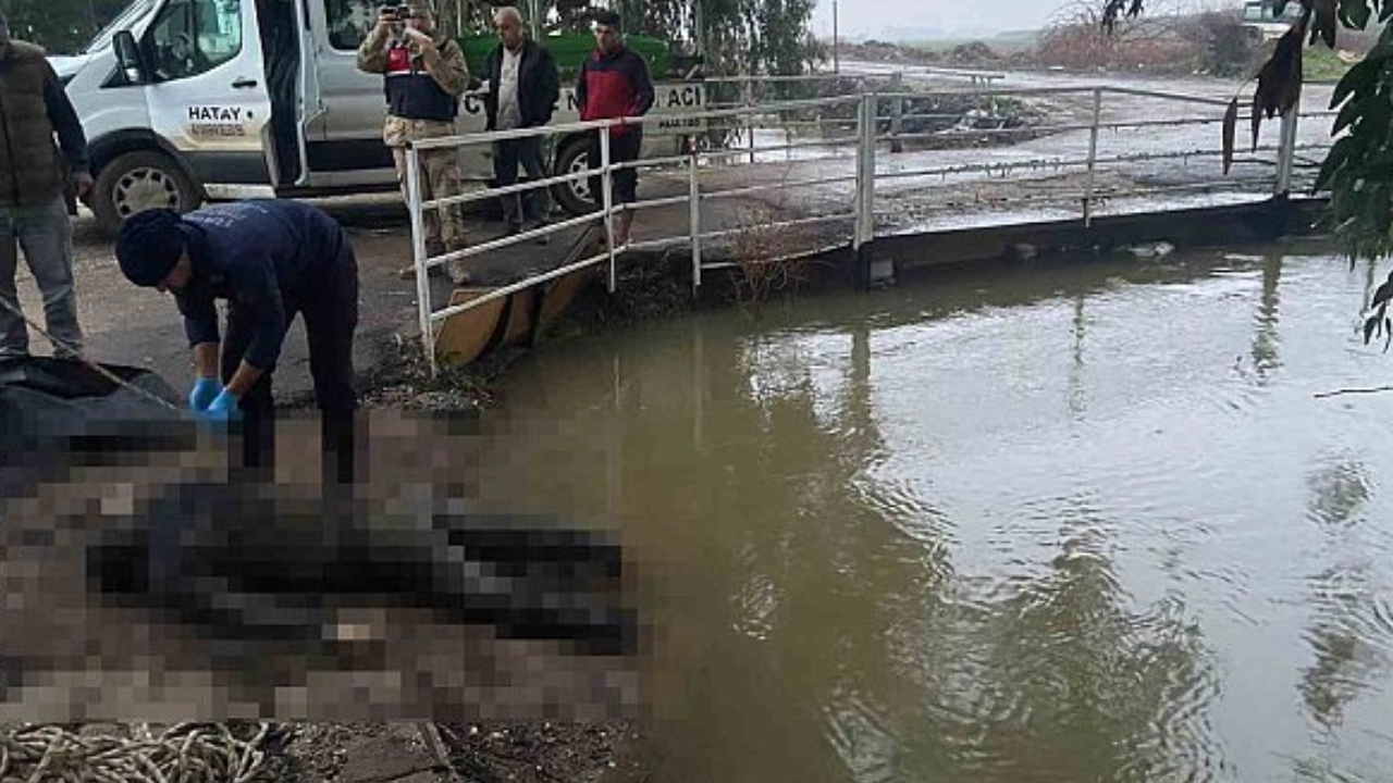 ملابسهم صنعت في سوريا.. إخراج ثلاث جثث من نهر العاصي في منطقة الريحانية في الجنوب التركي ملابسهم صنعت في سوريا.. إخراج ثلاث جثث من نهر العاصي في منطقة الريحانية في الجنوب التركي