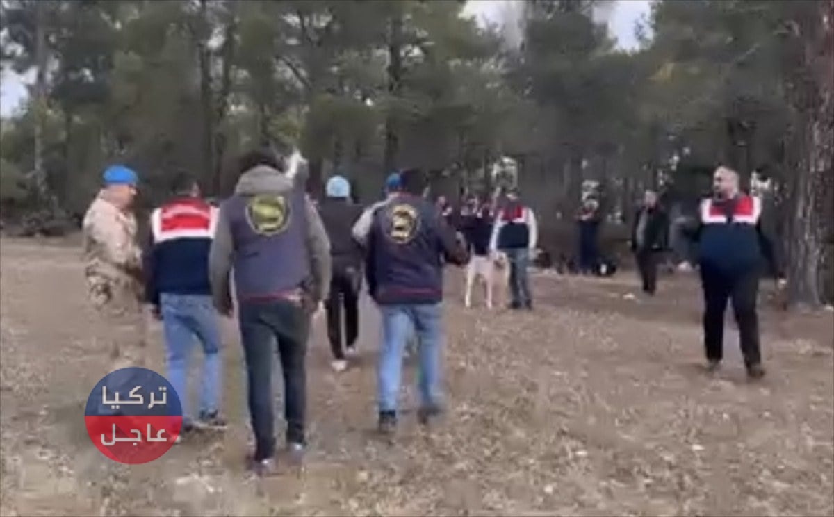 حتى المشاهدون حصلوا على غرامة! السلطات التركية تفرض غرامة 142 ألف بسبب الكلاب حتى المشاهدون حصلوا على غرامة! السلطات التركية تفرض غرامة 142 ألف بسبب الكلاب