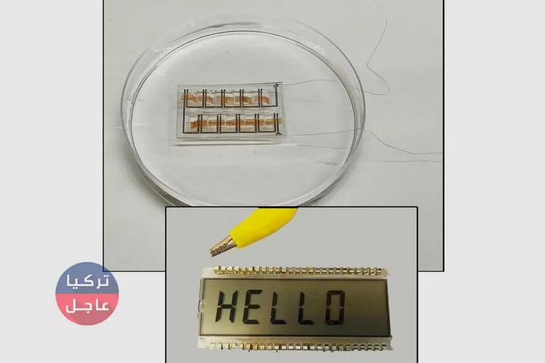 ابتكار بطارية للإنسان قادرة على توليد الكهرباء وهذه مهمتها ابتكار بطارية للإنسان قادرة على توليد الكهرباء وهذه مهمتها