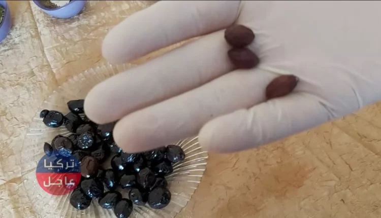 فوائد بلع بذور الزيتون: كنز صحي غني بمضادات الأكسدة