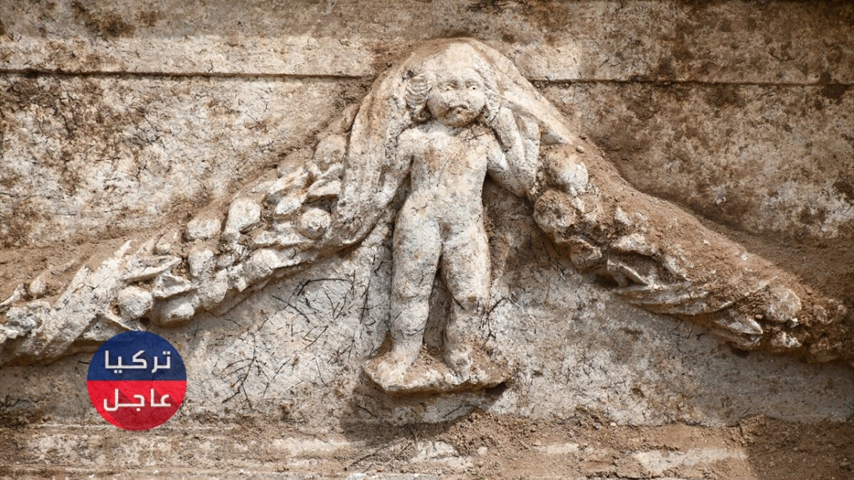 اكتشاف كنز تاريخي كبير داخل حديقة أحد من المنزل على الحدود السورية التركية اكتشاف كنز تاريخي كبير داخل حديقة أحد من المنزل على الحدود السورية التركية