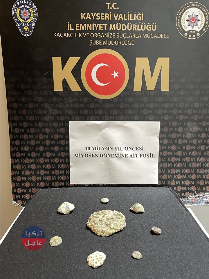 اكتشاف أحافير عمرها يفوق 10 مليون سنة داخل منزل في ولاية تركية اكتشاف أحافير عمرها يفوق 10 مليون سنة داخل منزل في ولاية تركية