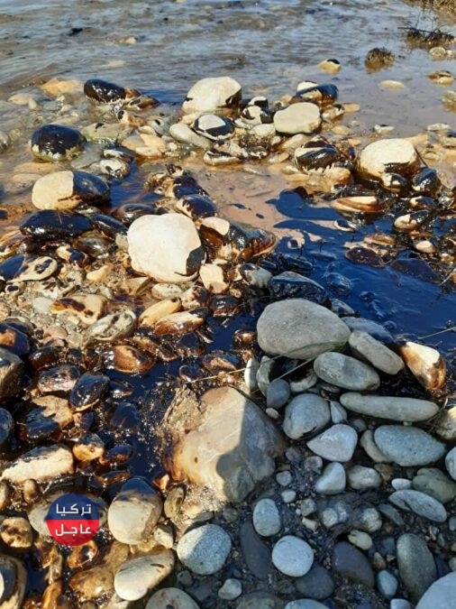 نفط خام يطفو على ماء نهر في ديار بكر جنوب تركيا نفط خام يطفو على ماء نهر في ديار بكر جنوب تركيا