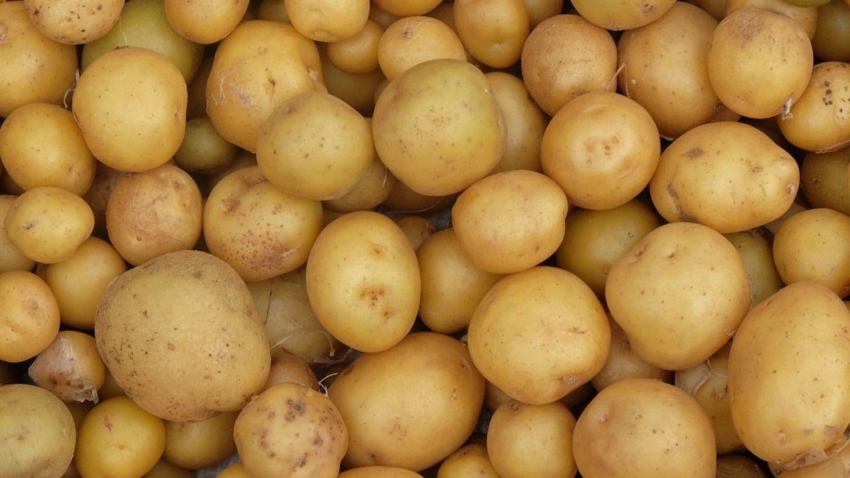 2500 طن من البطاطس التركية
