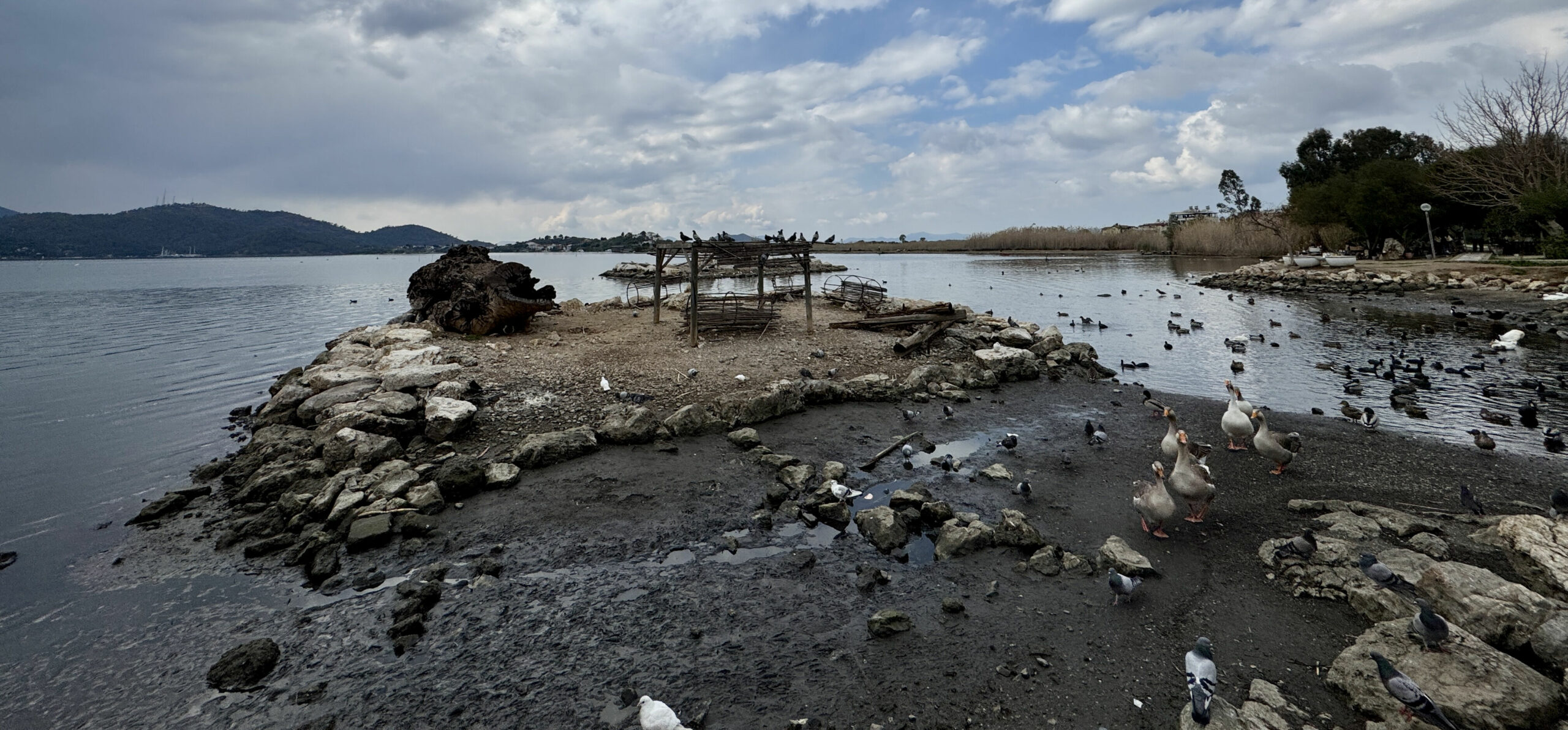 اختفاء مياه البحر في عدة مدن تركية يثير الذعر.. هل نحن أمام زلزال وشيك؟