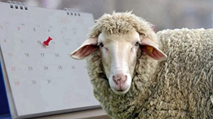 هل تمتد عطلة عيد الأضحى 2025 إلى 9 أيام؟ تصريحات هامة والقرار بانتظار اجتماع مجلس الوزراء.