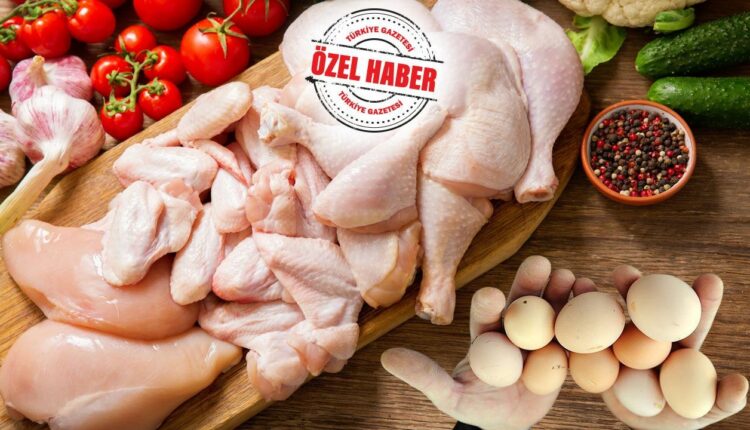 بعد انخفاض سعر البيض.. تراجع في أسعار الدجاج أيضاً! انخفاض الأسعار يُدخل السرور على قلوب المواطنين