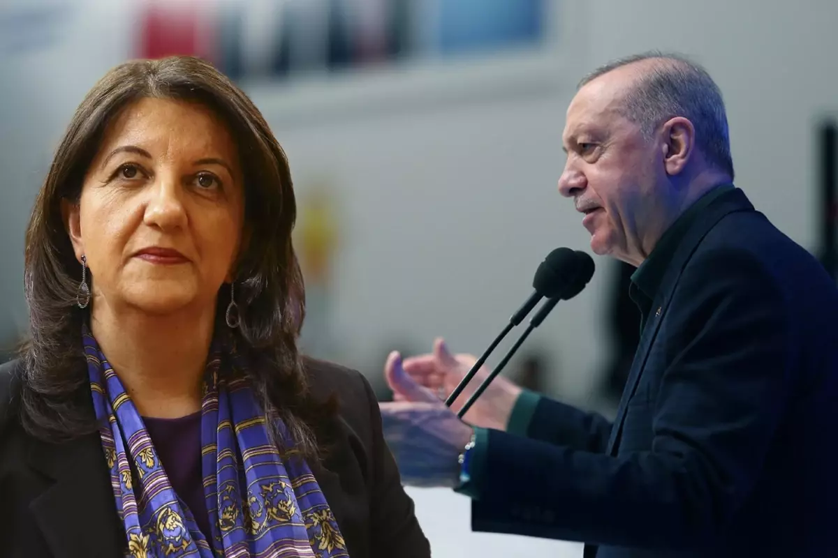 أول رد من حزب "ديم" على تصريح أردوغان: "سنسير معاً".. بولدان توضح التفاصيل