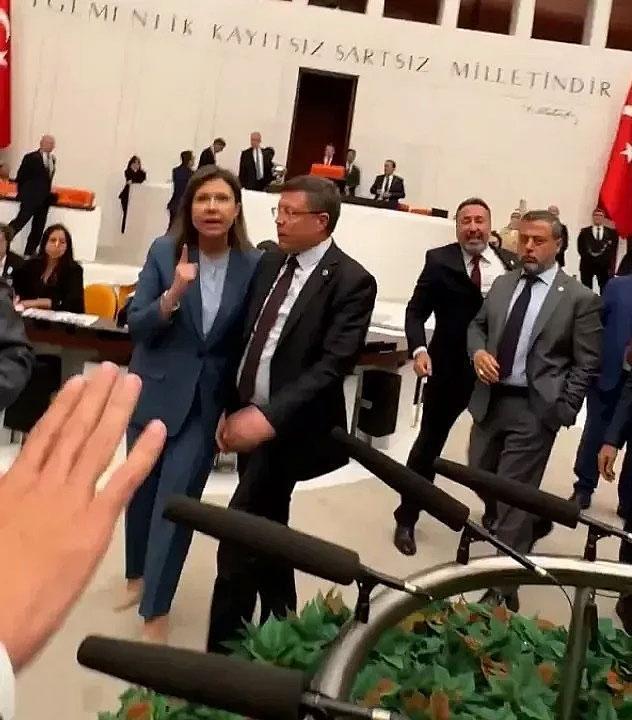 قانون جديد يثير جدلاً واسعاً في تركيا: السماح باستخدام بساتين الزيتون في أنشطة التعدين رغم الاعتراضات