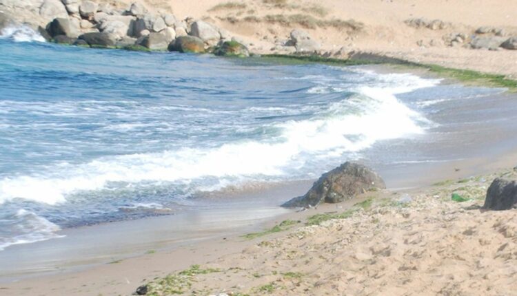 عاجل : فرض حظر سباحة في هذه الشواطئ في إسطنبول