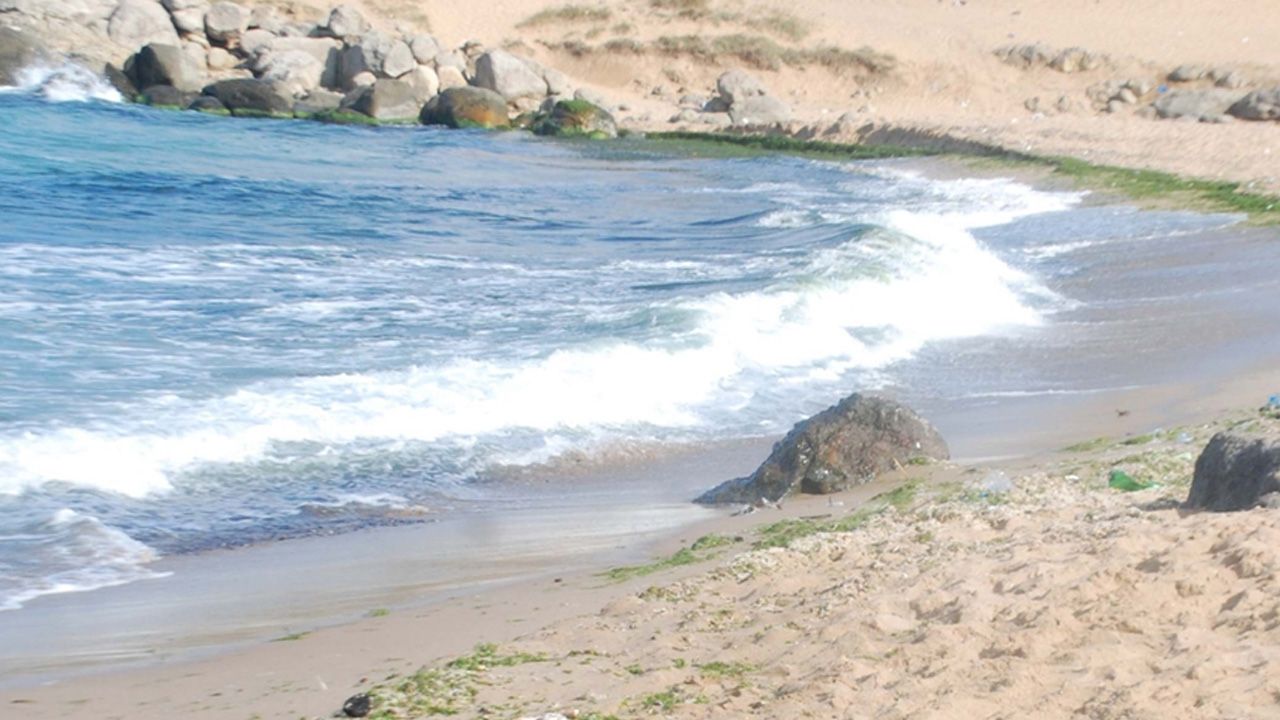 عاجل : فرض حظر سباحة في هذه الشواطئ في إسطنبول