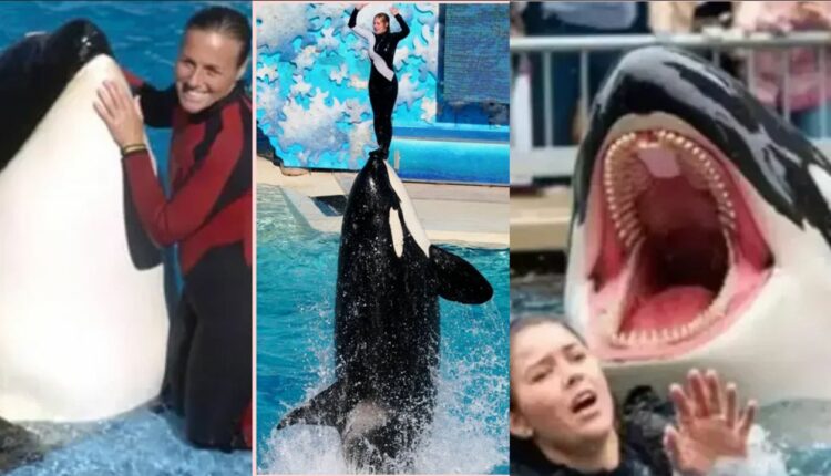 جيسيكا رادكليف والحوت القاتل: هل هي حقيقة أم خدعة الإنترنت الكبرى؟