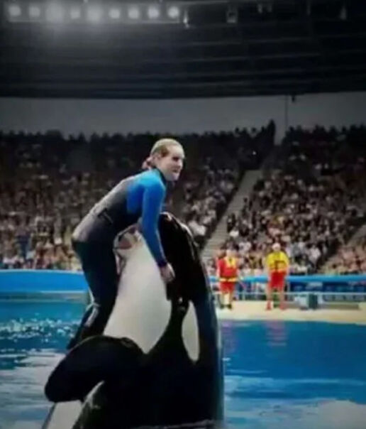 جيسيكا رادكليف وحوت أروكا : هل هي حقيقة أم خدعة الإنترنت الكبرى؟