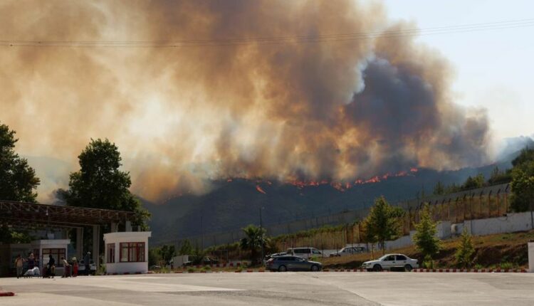 عاجل: حرائق غابات على حدود تركيا وسوريا.. الدخان يلوح من محافظة هاتاي