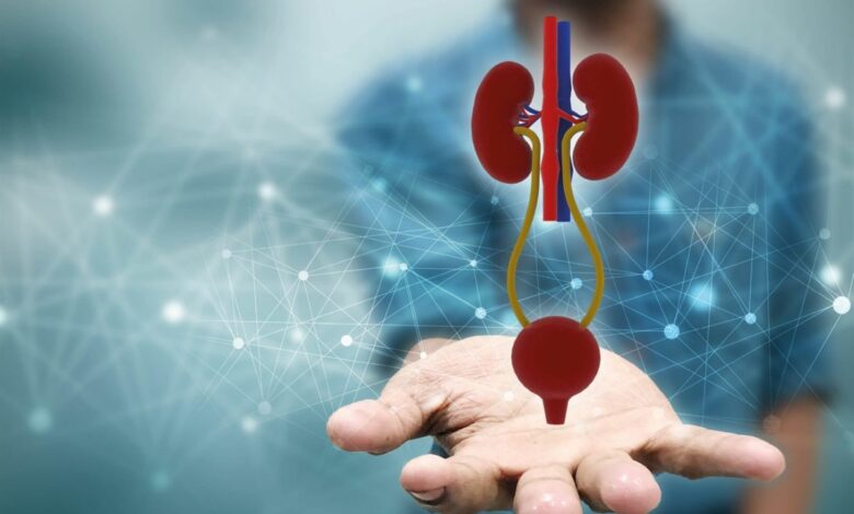 انقطاع البول.. ما أسبابه ومتى يصبح حالة طبية طارئة؟