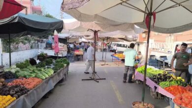 فواكه الصيف في السوق: ارتفاع الأسعار يثير استياء المواطنين