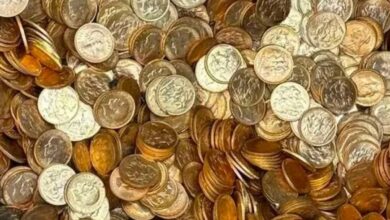 العثور على ذهب بقيمة 9 ملايين يورو مخبأ داخل جدار خلال تجديد منزل في بلجيكا يشعل موجة بحث عن الكنوز