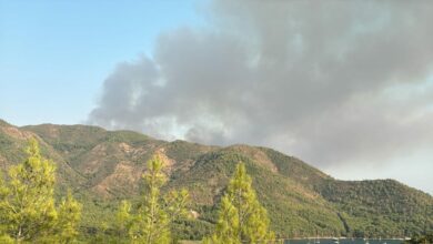 تواصل فرق الإطفاء جهودها للسيطرة على حريق غابات اندلع في مرمريس بولاية موغلا التركية