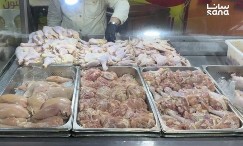 فجوة المعروض تشعل أسعار الفروج والمربون يحمّلون التكاليف المتصاعدة مسؤولية الأزمة