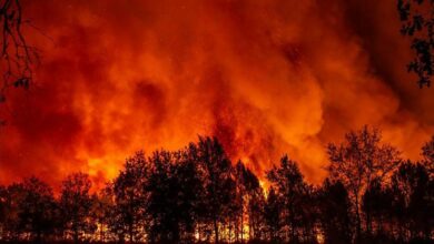 حرائق Landes بفرنسا: السيطرة على حريق أتى على 1700 هكتار بعد أيام من الجهود