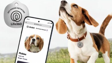 Life360 تطلق ميزات جديدة لرعاية الحيوانات الأليفة بينها سجلات مشتركة وبطاقة لتحديد المواقع