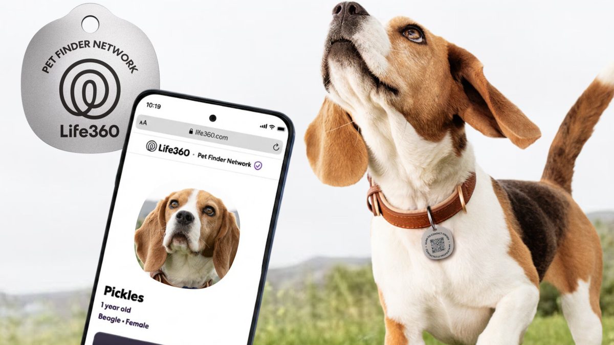 Life360 تطلق ميزات جديدة لرعاية الحيوانات الأليفة بينها سجلات مشتركة وبطاقة لتحديد المواقع
