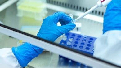 دراسة أمريكية: مضيفو الطيران الأكثر عرضة للوفاة بسرطانات مرتبطة بالإشعاع
