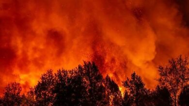 حرائق الغابات في فرنسا تكبد قطاع التأمين 500 مليون يورو و25 ألف بلاغ ضرر