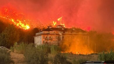 عاجل | حريق غابات في فيتحية التركية يهدد المنازل ويجبر دار مسنين على الإخلاء