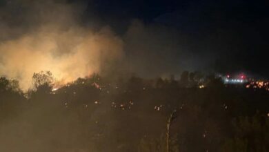عاجل | حريق في أنطاليا يلتهم 30 دونماً ويُتلف أشجار زيتون.. والفرق تنقذ دفيئة زراعية